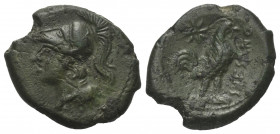 Kampanien. Cales.

 Bronze. Ca. 265 - 240 v. Chr.
Vs: Kopf der Athena mit korinthischem Helm links.
Rs: Hahn nach rechts stehend; im Feld links St...