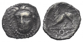 Kampanien. Phistelia.

 Obol (Silber). Ca. 310 - 300 v. Chr.
Vs: Weiblicher Kopf in Dreiviertelansicht links.
Rs: Löwe nach links stehend; im Absc...
