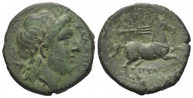 Apulien. Salapia.

 Bronze. Ca. 225 - 210 v. Chr.
Vs: Kopf des Apollon mit Lorbeerkranz rechts, über der Schulter Köcher.
Rs: Pferd nach rechts ga...
