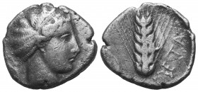 Lukanien. Metapont.

 Nomos (Silber). Ca. 430 - 400 v. Chr.
Vs: Kopf der Demeter rechts.
Rs: Getreideähre. 

22 mm. 7,55 g. 

HGC 1, 1038; HN ...