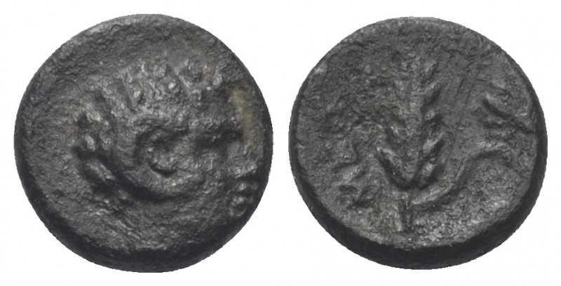 Lukanien. Metapont.

 Bronze. Ca. 300 - 250 v. Chr.
Vs: Kopf des gehörnten Pa...