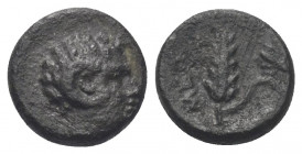 Lukanien. Metapont.

 Bronze. Ca. 300 - 250 v. Chr.
Vs: Kopf des gehörnten Pan rechts.
Rs: Getreideähre, rechts auf dem seitlichen Blatt Panflöte ...