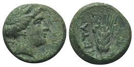 Lukanien. Metapont.

 Bronze. Ca. 300 - 250 v. Chr.
Vs: Kopf der Demeter mit Ährenkranz rechts.
Rs: META. Getreideähre. 

13 mm. 2,74 g. 

HGC...
