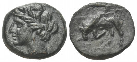 Sizilien. Alontion.

Bronze. Ca. 280 - 270 v. Chr.
Vs: Weiblicher Kopf mit Lorbeerkranz links.
Rs: Stier nach links angreifend.

17 mm. 3,69 g....