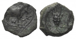 Sizilien. Iaitos.

 Bronze. Ca. 330 - 260 v. Chr.
Vs: Androkephaler Stier nach rechts stehend.
Rs: Kornähre neben Korn.

11 mm. 1,22 g. 

HGC ...