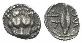 Sizilien. Leontinoi.

 Hemiobol (Silber). Ca. 476 - 466 v. Chr.
Vs: Löwenkopf en face.
Rs: Getreidekorn.

9 mm. 0,30 g. 

HGC - (vgl. 2, 687, ...