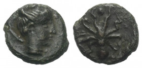 Sizilien. Syrakus. 2. Demokratie (466 - 405 v. Chr.).

 Bronze (Onkia). Ca. 435 - 415 v. Chr.
Vs: Kopf der Arethousa rechts, dahinter Delfin.
Rs: ...