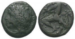 Sizilien. Syrakus. Agathokles (317 - 289 v. Chr.).

 Bronze. Ca. 317 - 305 v. Chr.
Vs: Kopf des Apollon mit Lorbeerkranz links, dahinter Tropaion....