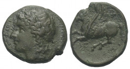 Sizilien. Syrakus. Agathokles (317 - 289 v. Chr.).

 Bronze. Ca. 310 - 305 v. Chr.
Vs: Kopf des Apollon mit Lorbeerkranz links.
Rs: Pegasos nach l...