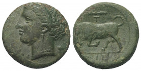 Sizilien. Syrakus. Hieron II. (275 - 215 v. Chr.).

 Bronze. Ca. 275 - 265 v. Chr.
Vs: Kopf der Persephone (Kore) mit Ährenkranz links; dahinter Mo...