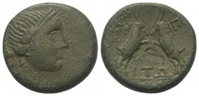 Makedonien. Amphipolis.

 Bronze. Nach 148 v. Chr.
Vs: Kopf des Apollon mit Lorbeerkranz rechts.
Rs: Zwei gegeneinander stehende Böcke.

20 mm. ...