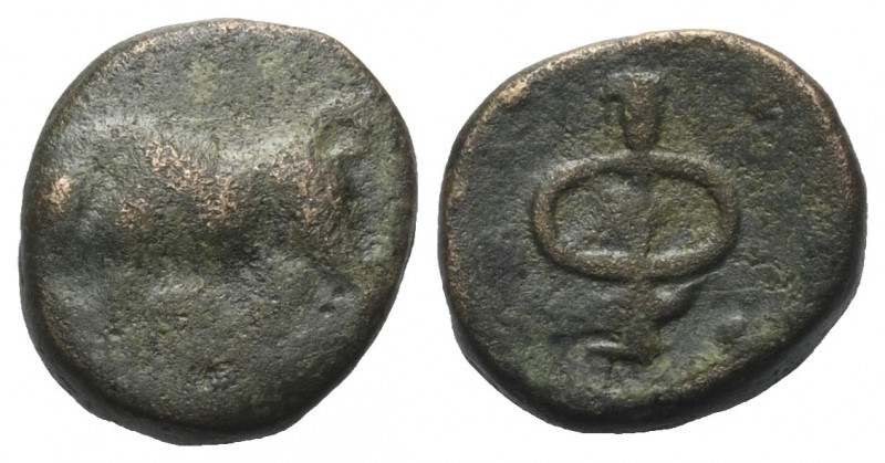 Phliasia. Phlious.

 Bronze. Ca. 400 - 350 v. Chr.
Vs: Stier nach links angre...