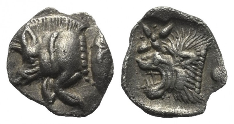 Mysien. Kyzikos.

 Hemiobol (Silber). Ca. 450 - 400 v. Chr.
Vs: Vorderteil ei...