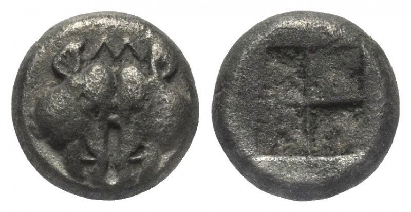 Lesbos. Ungesicherte Münzstätte.

 1/12 Stater (Billon). Ca. 500 - 450 v. Chr....