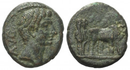 Makedonien. Philippi. Augustus (31 v. - 14 n. Chr.).

 Bronze.
Vs: AVG. Kopf rechts.
Rs: Zwei Priester mit Ochsengespann nach rechts einen Acker p...