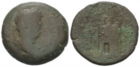 Ägypten. Alexandria. Hadrianus (117 - 138 n. Chr.).

 Bronze. 132 / 133 n. Chr. (Jahr 17).
Vs: Büste des Hadrian von hinten gesehen mit Lorbeerkran...