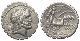Q. Antonius Balbus.

 Denar (Silber). 83 - 82 v. Chr. Rom.
Vs: S C. Kopf des Jupiter mit Lorbeerkranz rechts.
Rs: Q ANTO BALB / PR. Victoria in Qu...