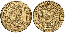Leopold I. 1657 - 1705
1/4 Dukat, 1681, SHS. Breslau
0,86g
Her. 479
vz