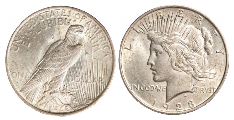 STATI UNITI - 1 dollaro 1923
Argento
KM# 150
q.FDC