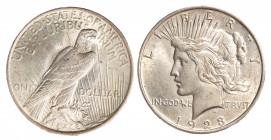STATI UNITI - 1 dollaro 1923
Argento
KM# 150
q.FDC