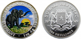 Somalia Somali Republic 100 Shillings 2009 (Mintage 5000) African Wildlife, Elephant，Silver Bullion Coinage Silver 0.999 31.31g KM# 213