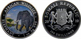 Somalia Somali Republic 100 Shillings 2010 Munich mint African Wildlife, Elephant，Silver Bullion Coinage Silver 0.999 31.25g KM# 221