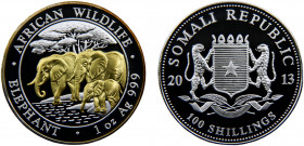 Somalia Somali Republic 100 Shillings 2013 Munich mint African Wildlife, Elephant，Silver Bullion Coinage Silver 0.999 31.27g