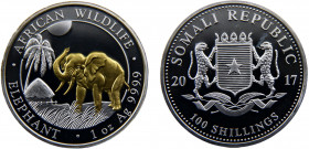 Somalia Somali Republic 100 Shillings 2017 Munich mint African Wildlife, Elephant，Silver Bullion Coinage Silver 0.999 31.24g
