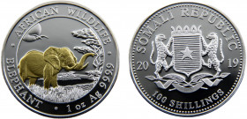Somalia Somali Republic 100 Shillings 2019 African Wildlife, Elephant，Silver Bullion Coinage Silver 0.999 31.3g