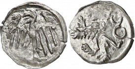 Medieval coins
POLSKA / POLAND / POLEN / SCHLESIEN

Śląsk, hrabstwo Kłodzkie. Jerzy z Podiebradu 1454-1462, halerz ok. 1460, Kłodzko - RARITY R5 
...