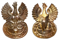 FALERY: Orders, badges, decorations
POLSKA / POLAND / POLEN / POLSKO / RUSSIA / LVIV

Second Polish Republic? Eagle up to a height of 40 mm 

Orz...
