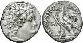 Ancient coins: Greece
RÖMISCHEN REPUBLIK / GRIECHISCHE MÜNZEN / BYZANZ / ANTIK / ANCIENT / ROME / GREECE / RÖMISCHEN KAISERZEIT / CELTISHE / BIBLISHE...