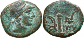 Ancient coins: Greece
RÖMISCHEN REPUBLIK / GRIECHISCHE MÜNZEN / BYZANZ / ANTIK / ANCIENT / ROME / GREECE / RÖMISCHEN KAISERZEIT / CELTISHE / BIBLISHE...