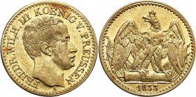 Germany
Germany, Brandenburg-Prussia. Frederick William III (1797-1840). 1/2 Fryderyk d or 1832, Berlin - NO 

Pięknie zachowana moneta z obustronn...