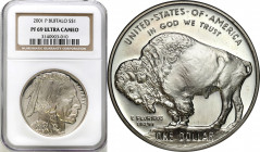 USA (United States of America)
USA. Dollar 2001 F, American Buffalo - NGC PF69 ULTRA CAMEO 

Mennicza moneta w gradingu NGC.

Details: 
Conditio...