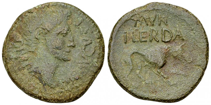 Augustus AE As, Ilerda 

Augustus (27 BC-14 AD). AE As (24 mm, 8.34 g), Ilerda...