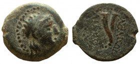Seleukid Kingdom. Antiochos VII Euergetes, 138-129 BC. AE 20 mm. Marisa mint.