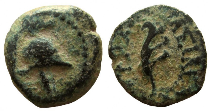 Seleukid Kingdom. Antiochos VII Euergetes, 138-129 BC. AE 12 mm. Ascalon mint.
...