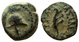 Seleukid Kingdom. Antiochos VII Euergetes, 138-129 BC. AE 12 mm. Ascalon mint.