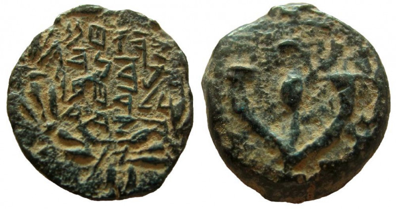Judean Kingdom. John Hyrcanus I, 134 - 104 BC. AE Prutah.



14 mm. Weight: ...