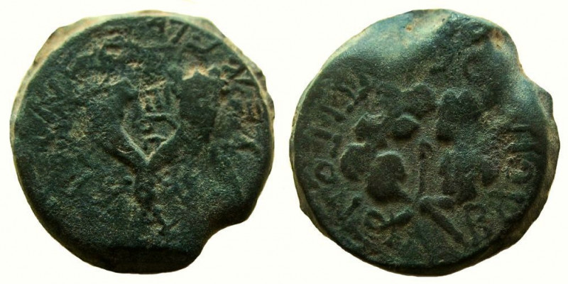 Judean Kingdom. Mattathias Antigonus, 40 - 37 BC. AE 24 mm.

Weight: 14.16 gm....