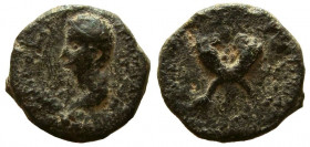 Judaea. Agrippa I, with Agrippa II, 37-43 AD. AE 14 mm. Caesarea Paneas mint.