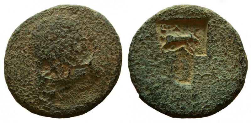 Judaea. Uncertain. AE 25 mm. Legio X Fretensis countermarks.

Weight: 11.01 gm...