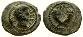 Decapolis. Gadara. Tiberius, 14-37 AD. AE 16 mm.