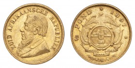 SOUTH AFRICA. Paul Kruger, president, 1883-1900. Gold Half-Pond 1897, Pretoria. 3.99 g. Mintage 75,000. KM-9.2. GVF.