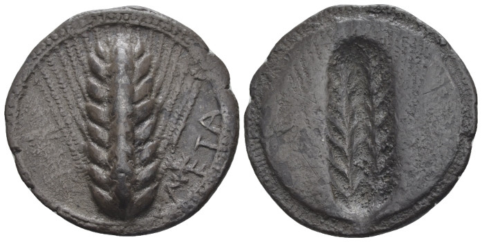 Lucania, Metapontum Nomos circa 540-510, AR 28.00 mm., 8.12 g.
Barley ear. Rev....