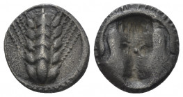 Lucania, Metapontum Triobol circa 470-440 - From the collection of a Mentor.