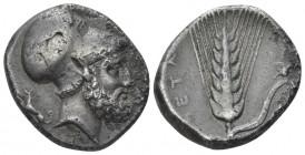 Lucania, Metapontum Nomos circa 340-330 - From the collection of a Mentor.