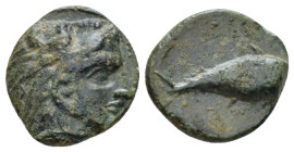 Sicily, Solus Bronze circa 300-241