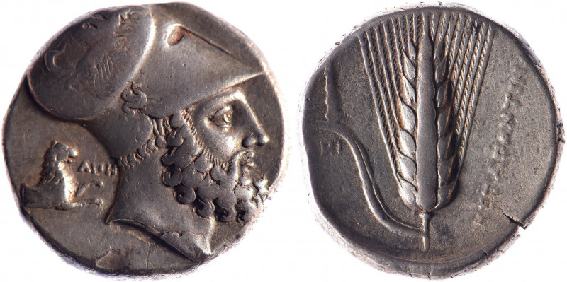 LUCANIE, Métaponte (350-300). Distatère (15.98 g) à la tête barbue de Leucippe c...